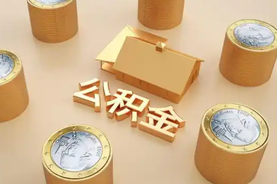新余退休公积金代办提取额度是多少？